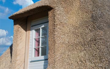Purton thatch roof disadvantages