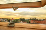 rated Purton roof window companies